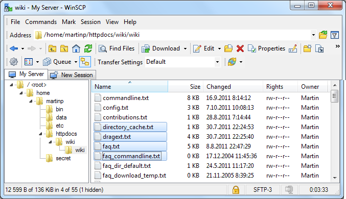 Win SCP explorer user interface